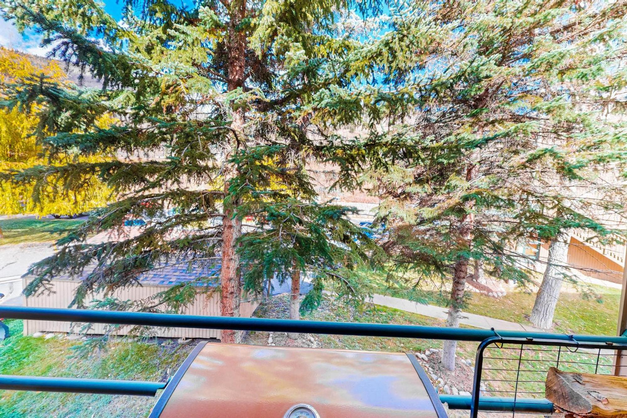 Pitkin Creek Park 7 Villa Vail Bilik gambar